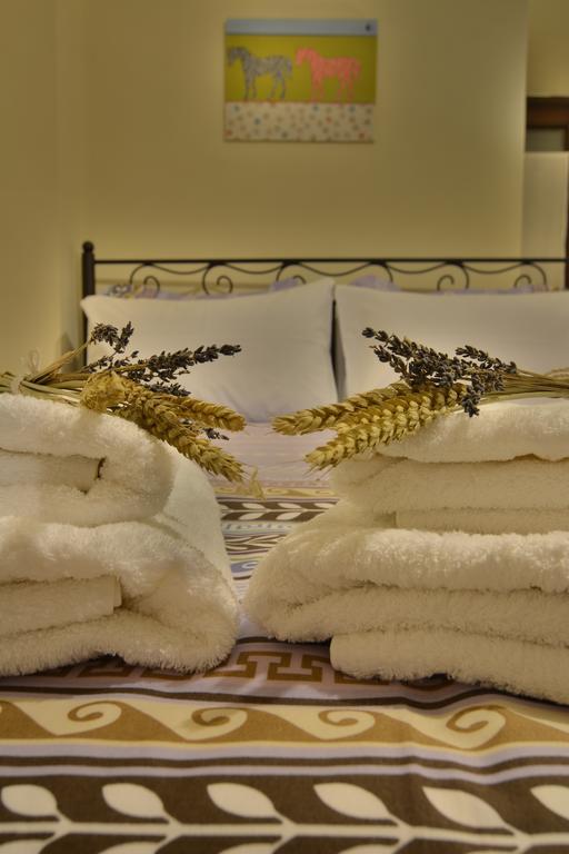 סטמניצה Gartagani Guest House מראה חיצוני תמונה