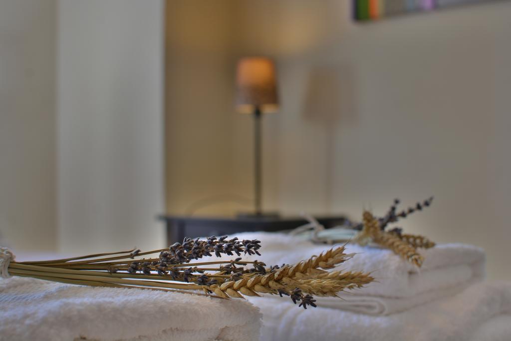 סטמניצה Gartagani Guest House מראה חיצוני תמונה